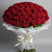 Букет 101 Красная роза Блэк Мэджик #REPLACE_PRED# Коммунистический