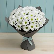 Букет цветов из:  Хризантемы в Коммунистический
