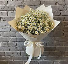 Букет цветов из:  Ромашки в Коммунистический