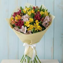 Букет цветов из:  Альстромерии #REPLACE_PRED# Коммунистический