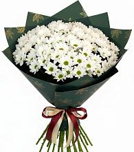 Букет цветов из:  Хризантемы в Коммунистический