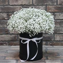 Цветочная композиция из Гипсофила в шляпной коробке в Коммунистический