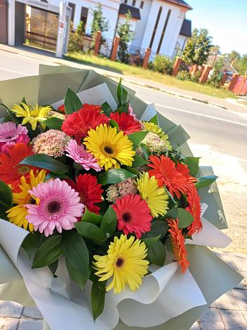 Букет цветов из: Герберы в Коммунистический