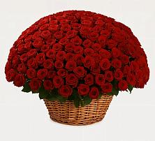 Премиум букет из: Розы #REPLACE_PRED# Коммунистический