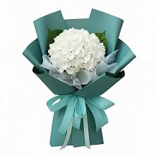 Букет цветов из:  Гортензия #REPLACE_PRED# Коммунистический